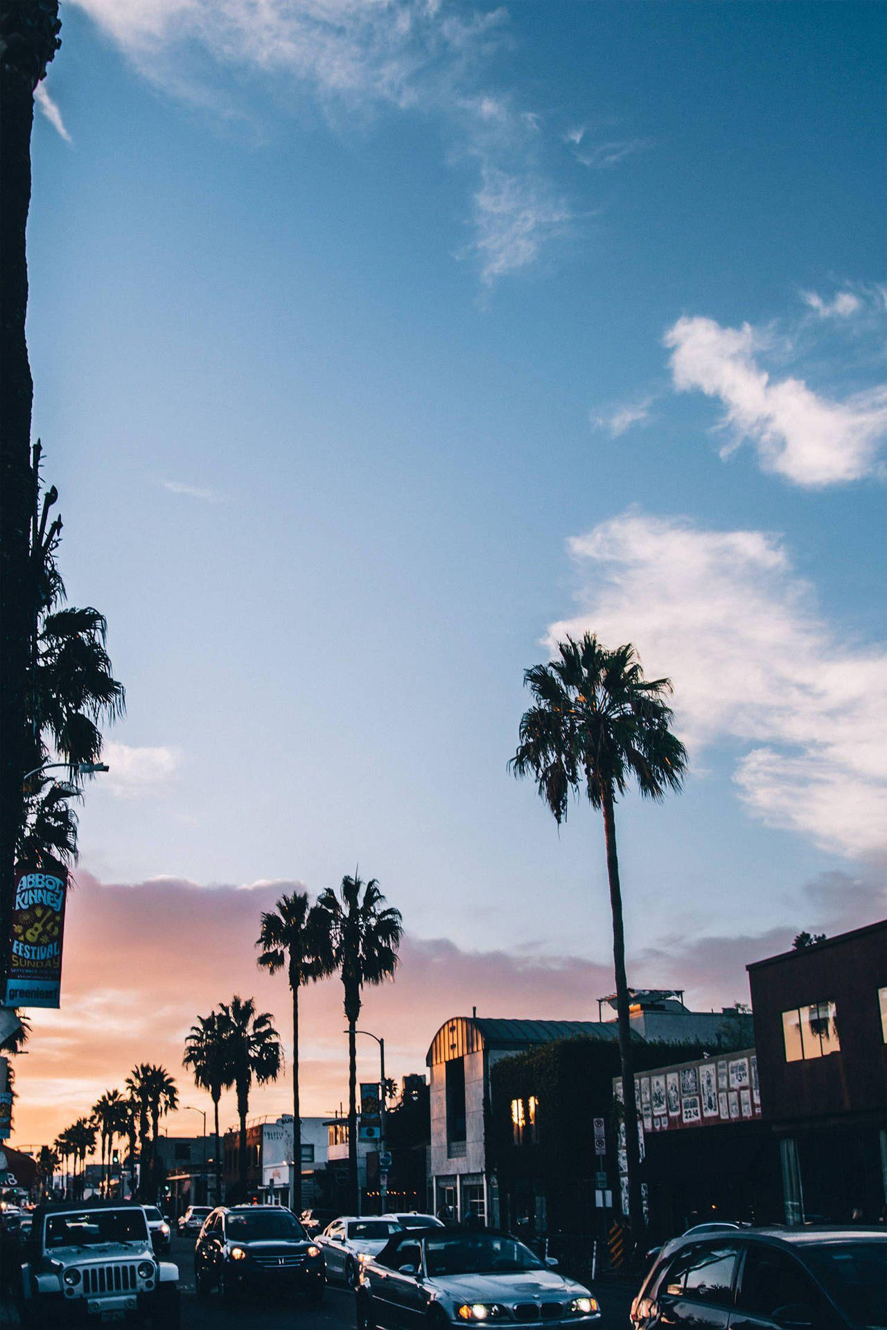 Venice Beach Cars On Street Background