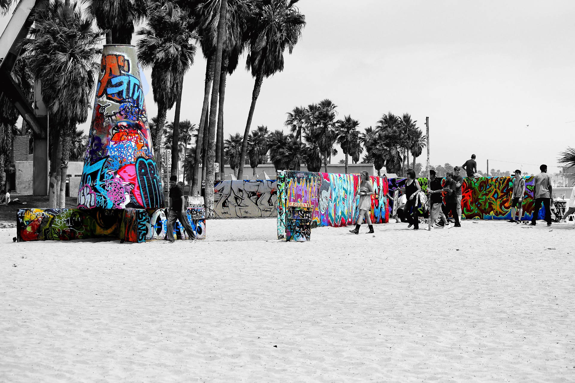 Venice Beach Graffiti Display