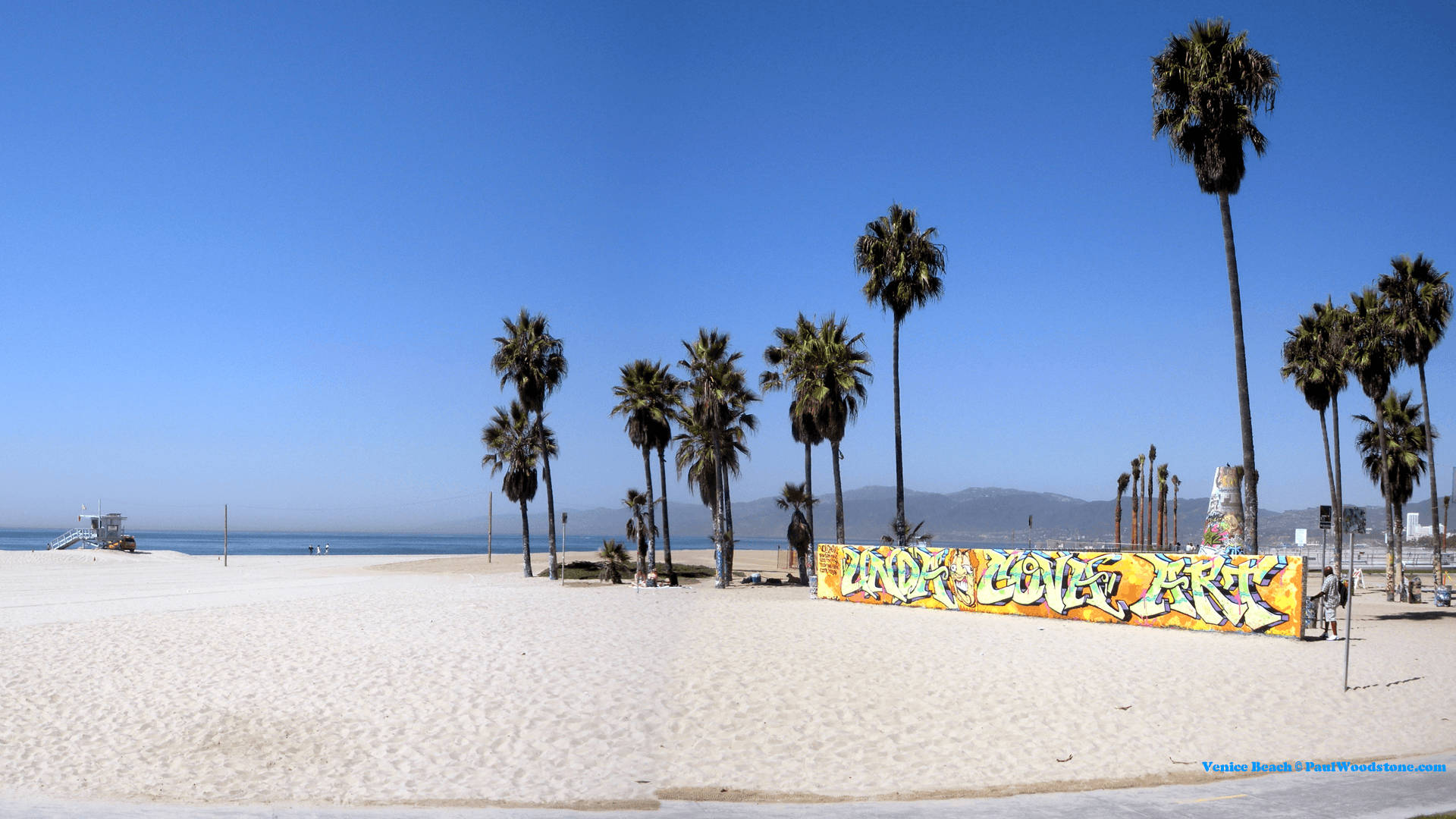 Venice Beach Graffiti Wall Background