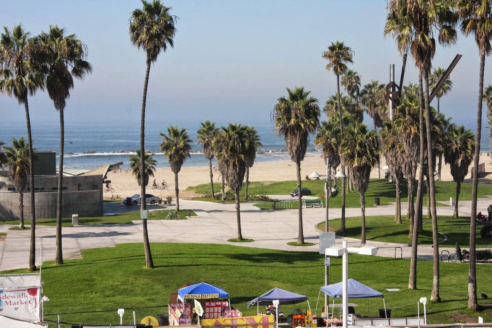 Venice Beach Green Grass Trees Background