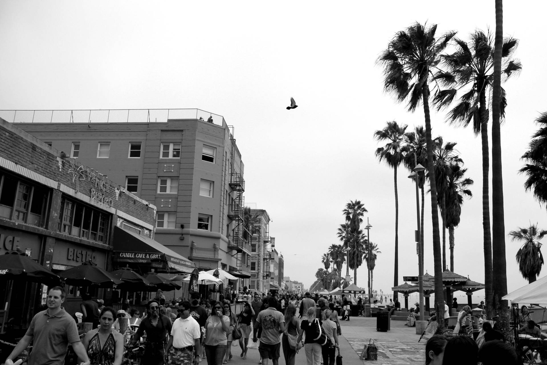 Venice Beach Monochrome Crowd Background