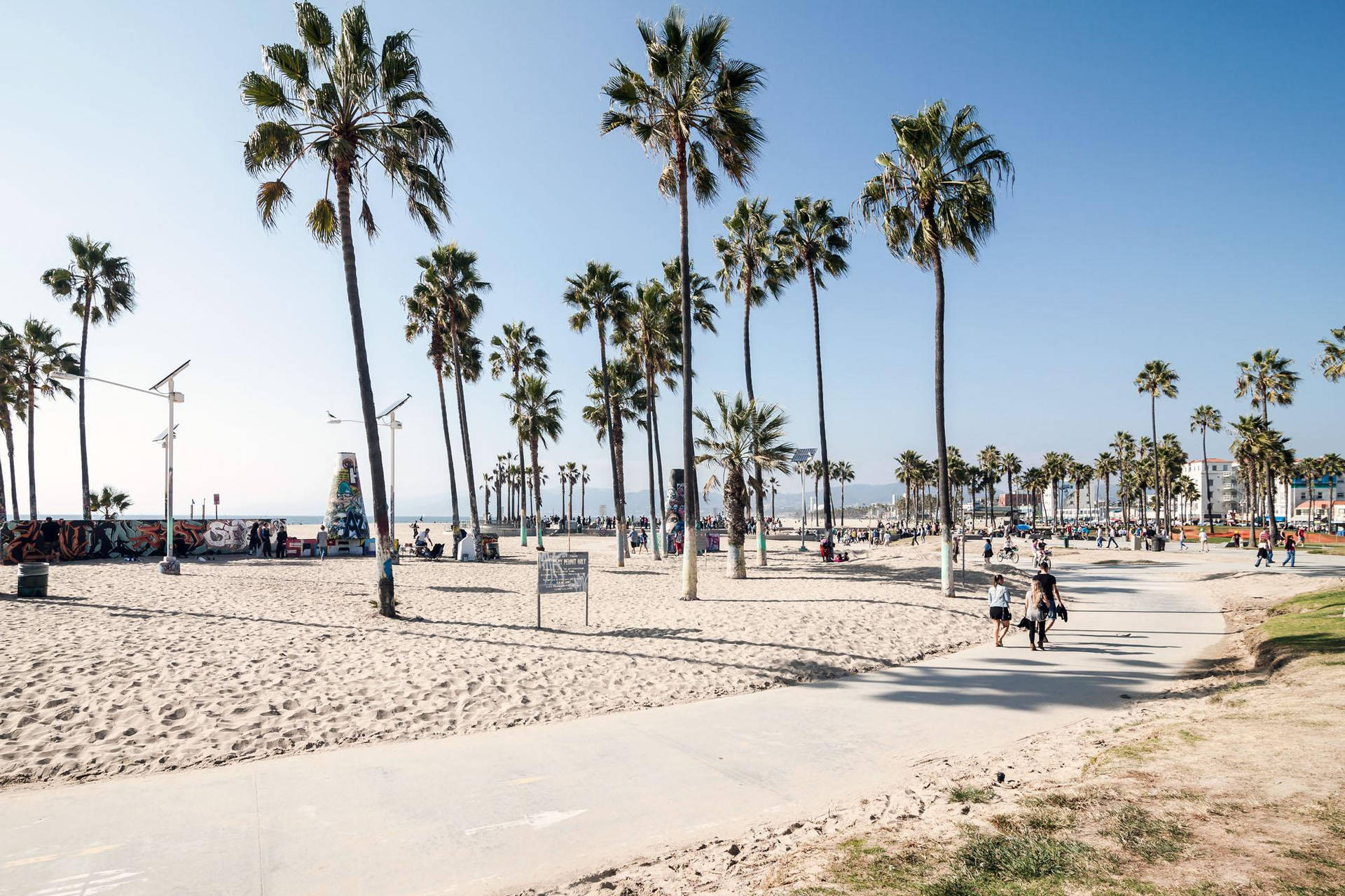 Venice Beach Pedestrian Path Trees