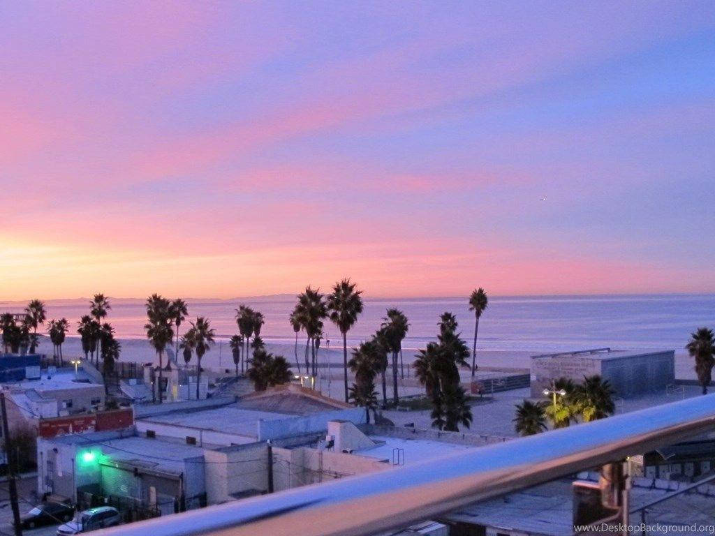 Venice Beach Pink Sunset Background