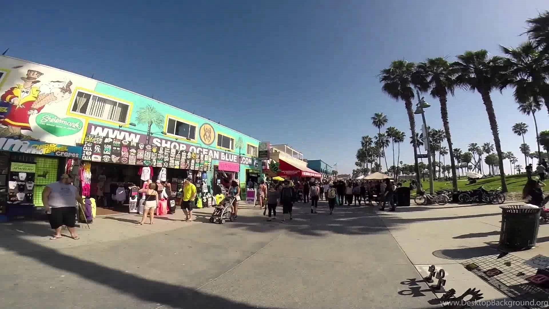 Venice Beach Store Trees