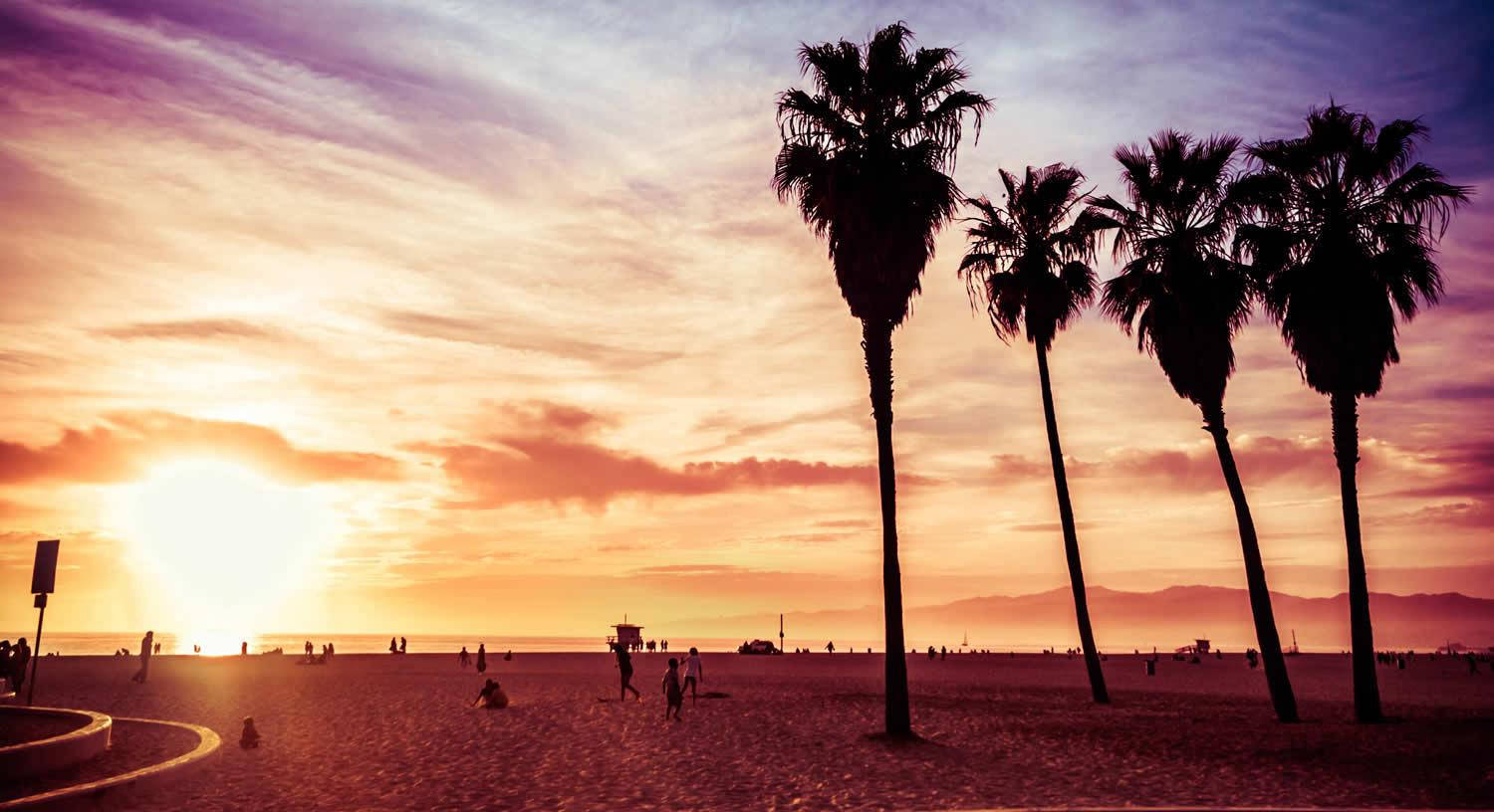 Venice Beach Sun Setting Trees