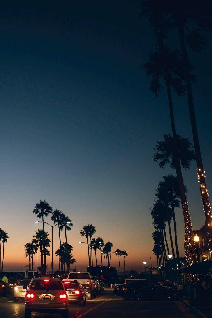 Venice Beach Sundown Establishments Background