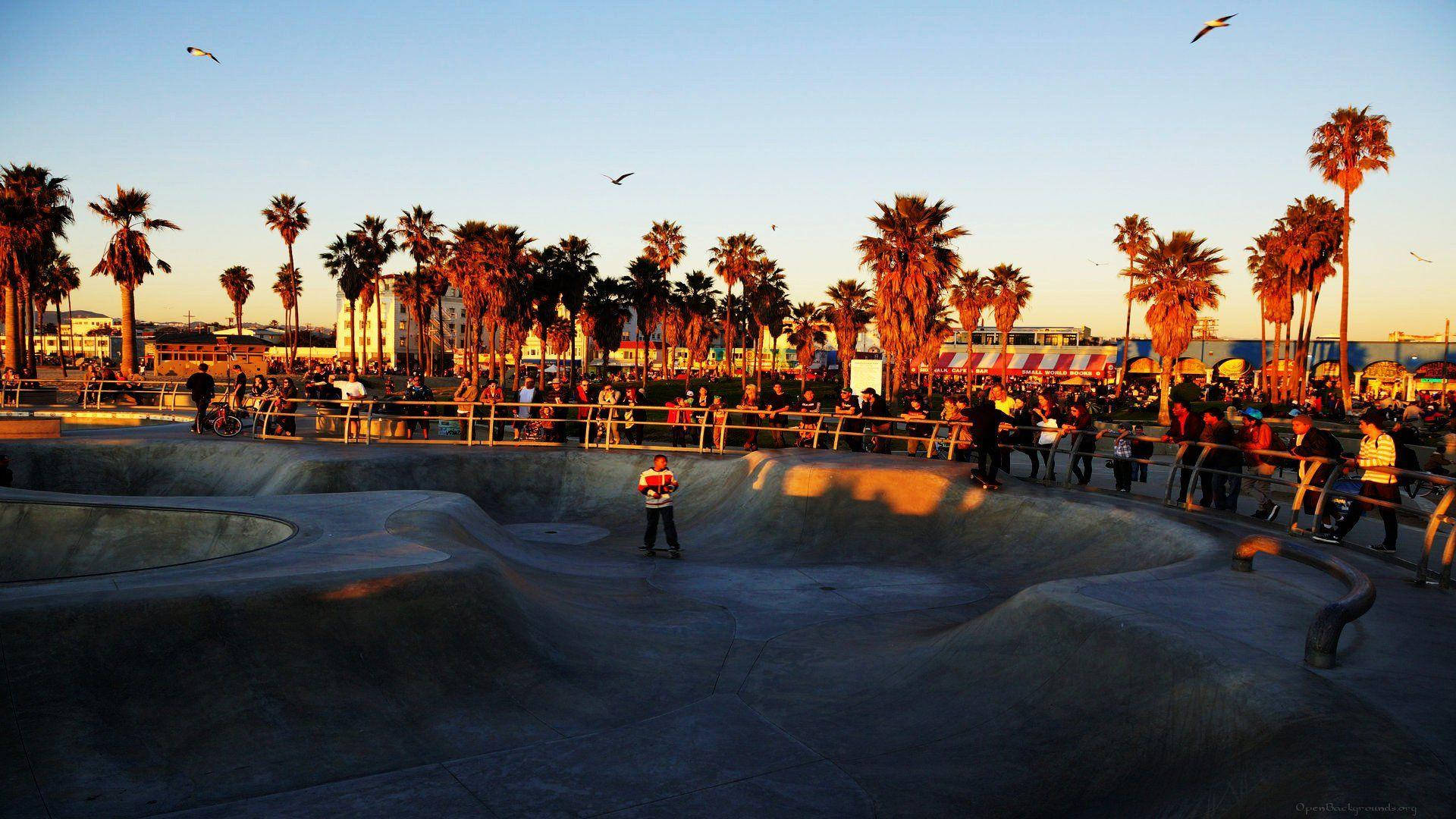 Venice Beach Sunset Birds Flying Background