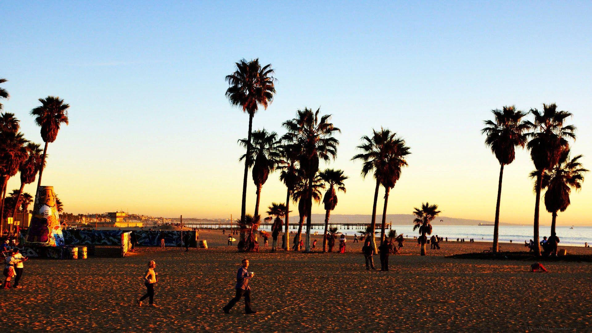 Venice Beach Sunset People On Beach Background