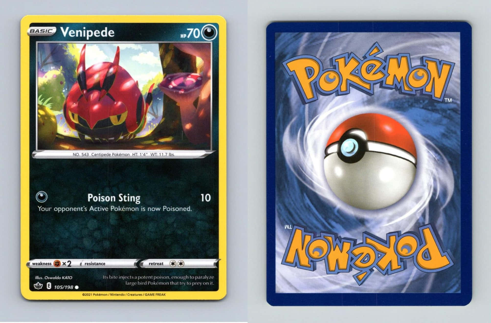 Venipede Pokemon Card Background