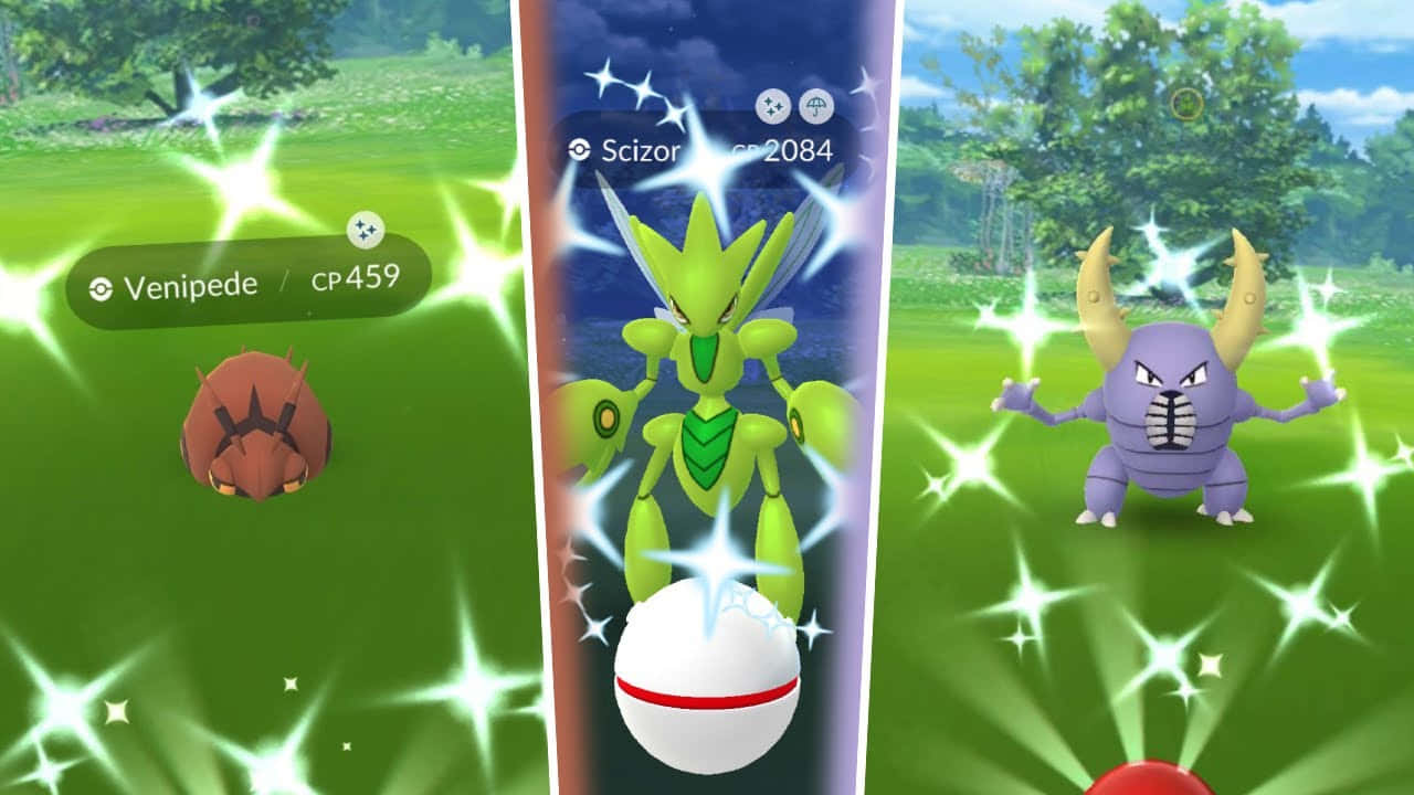 Venipede Scizor And Pinsir Background