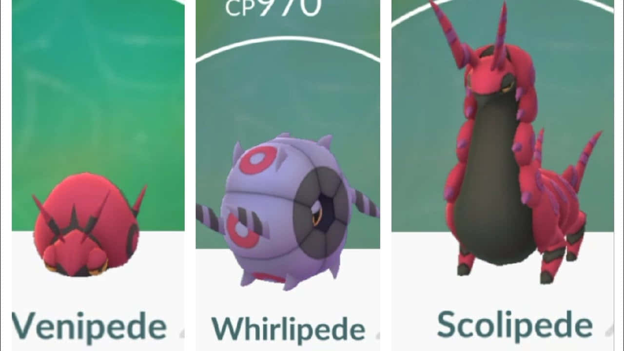 Venipede Whirlipede And Scolipede Side-by-side Background