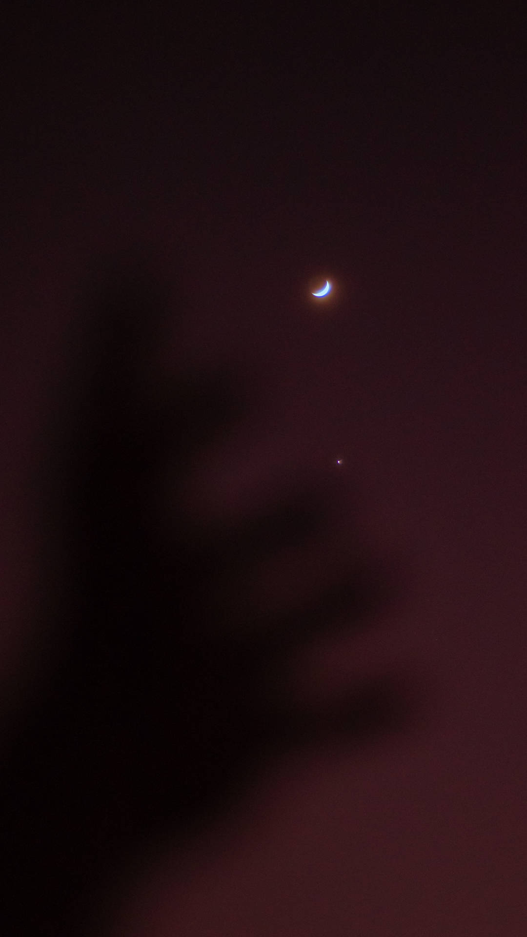 Venus And Aesthetic Moon Background