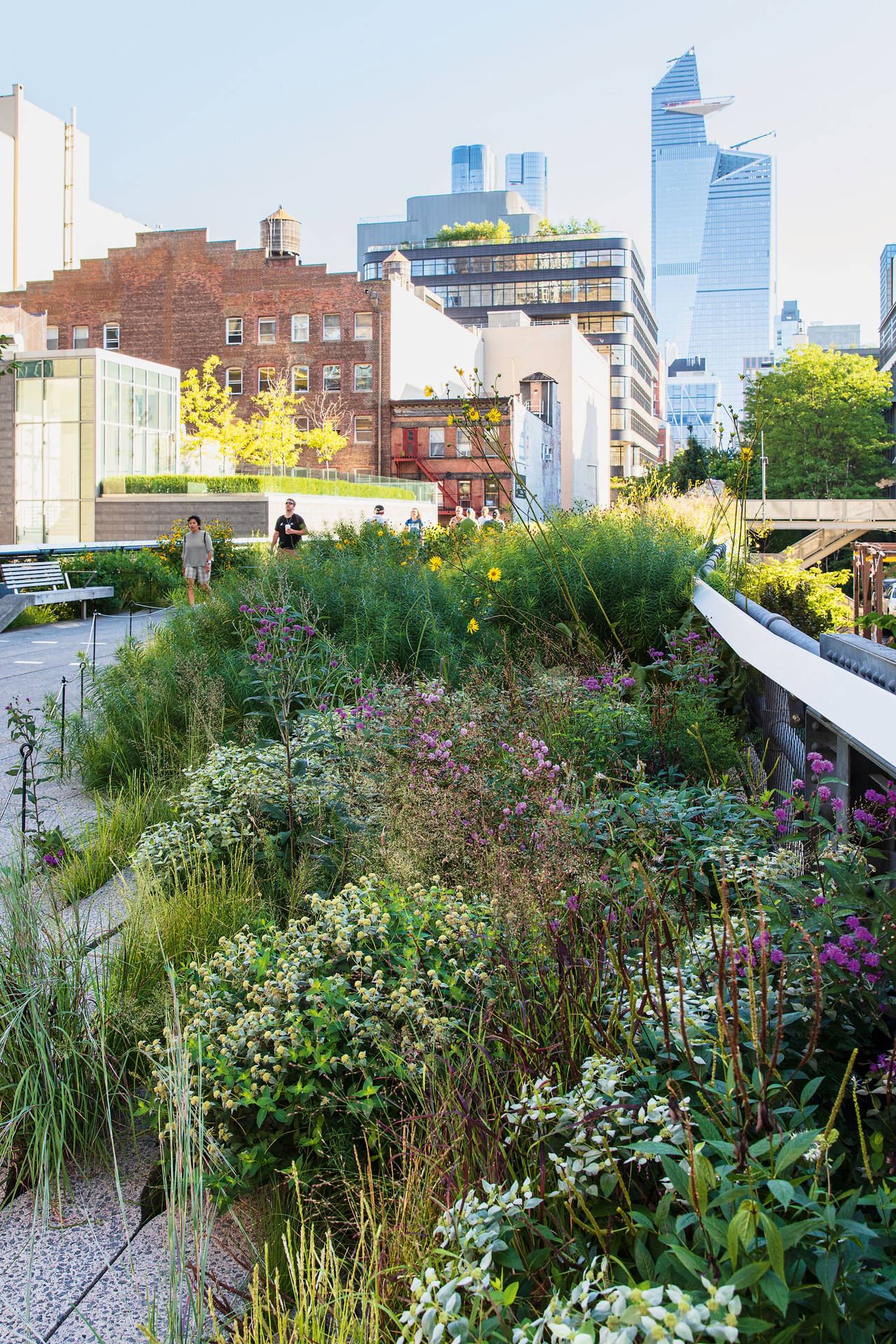 Verdant Tranquility On The High Line Background