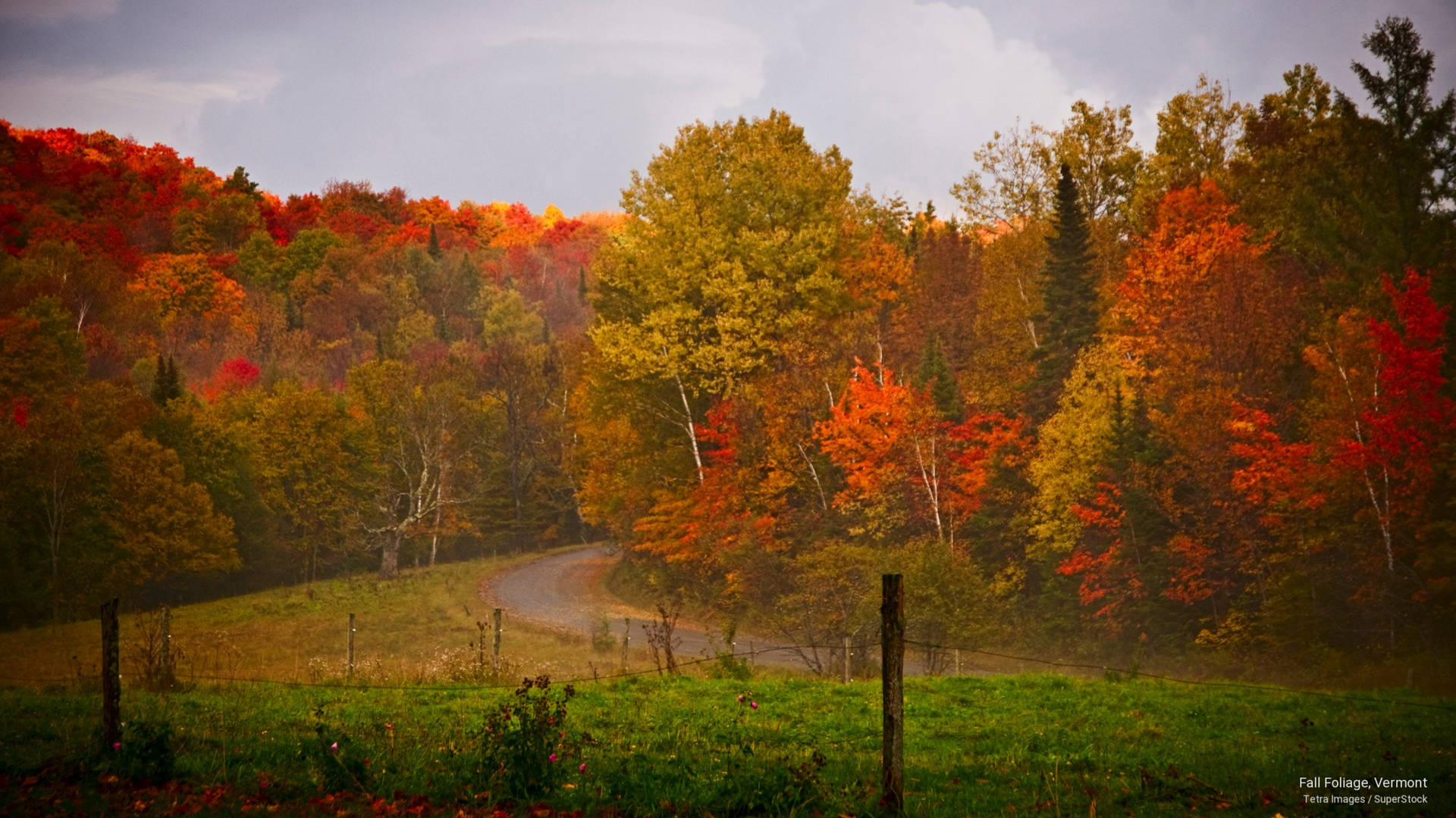 Vermont Fall Foliage Background