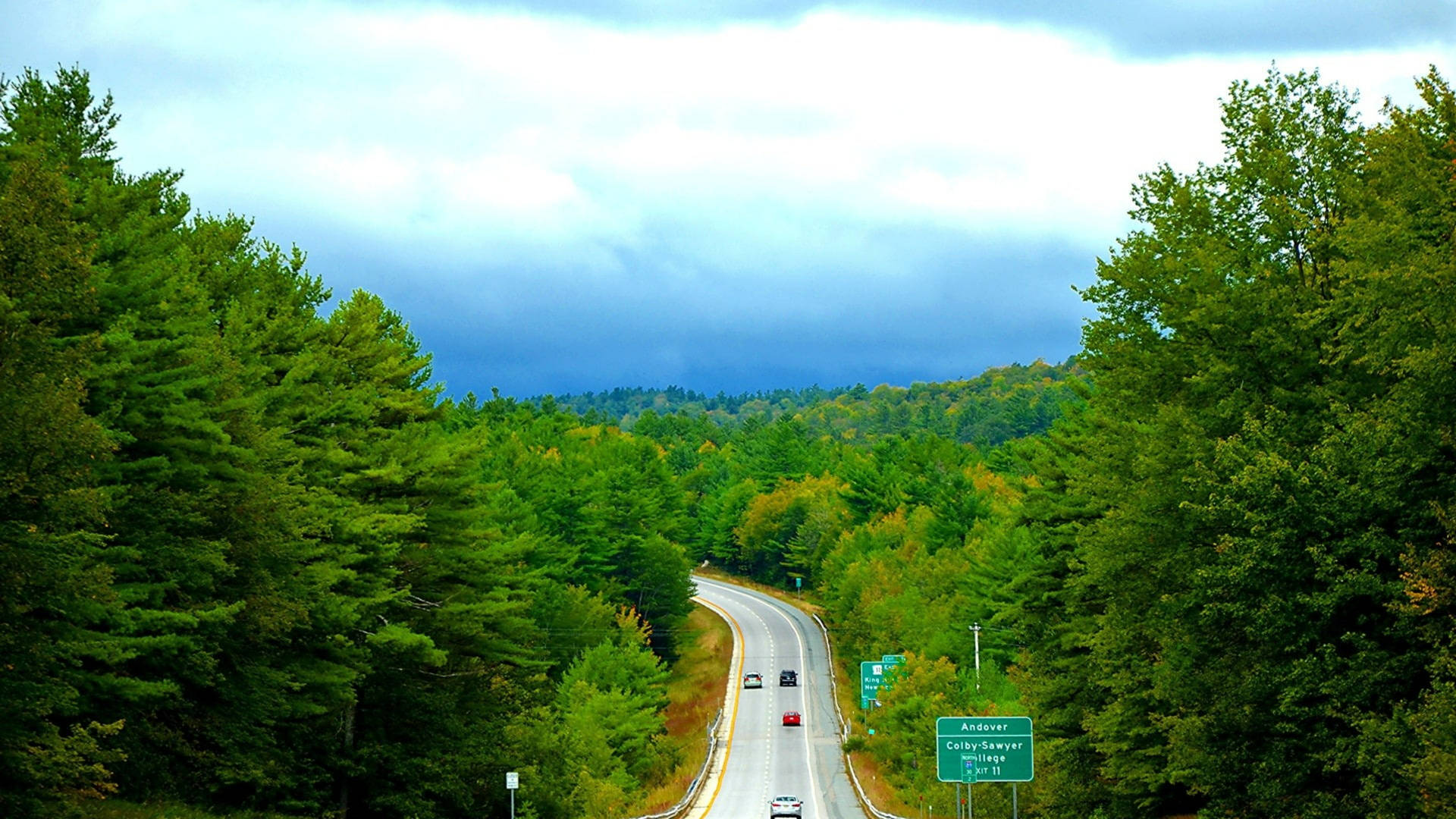 Vermont Forest Road
