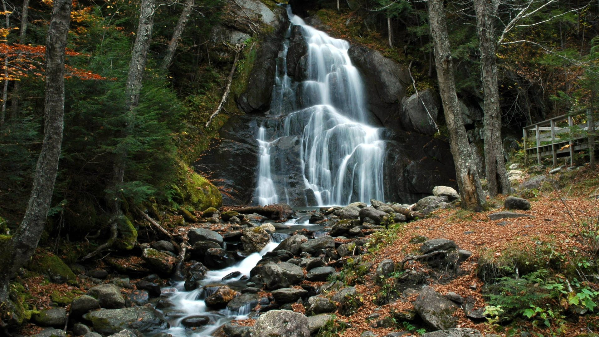 Vermont Moss Glen Falls Background