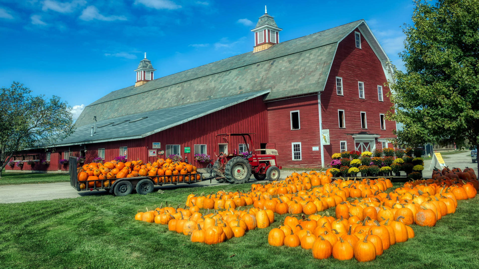 Vermont Red Barn And Pumpkins Background