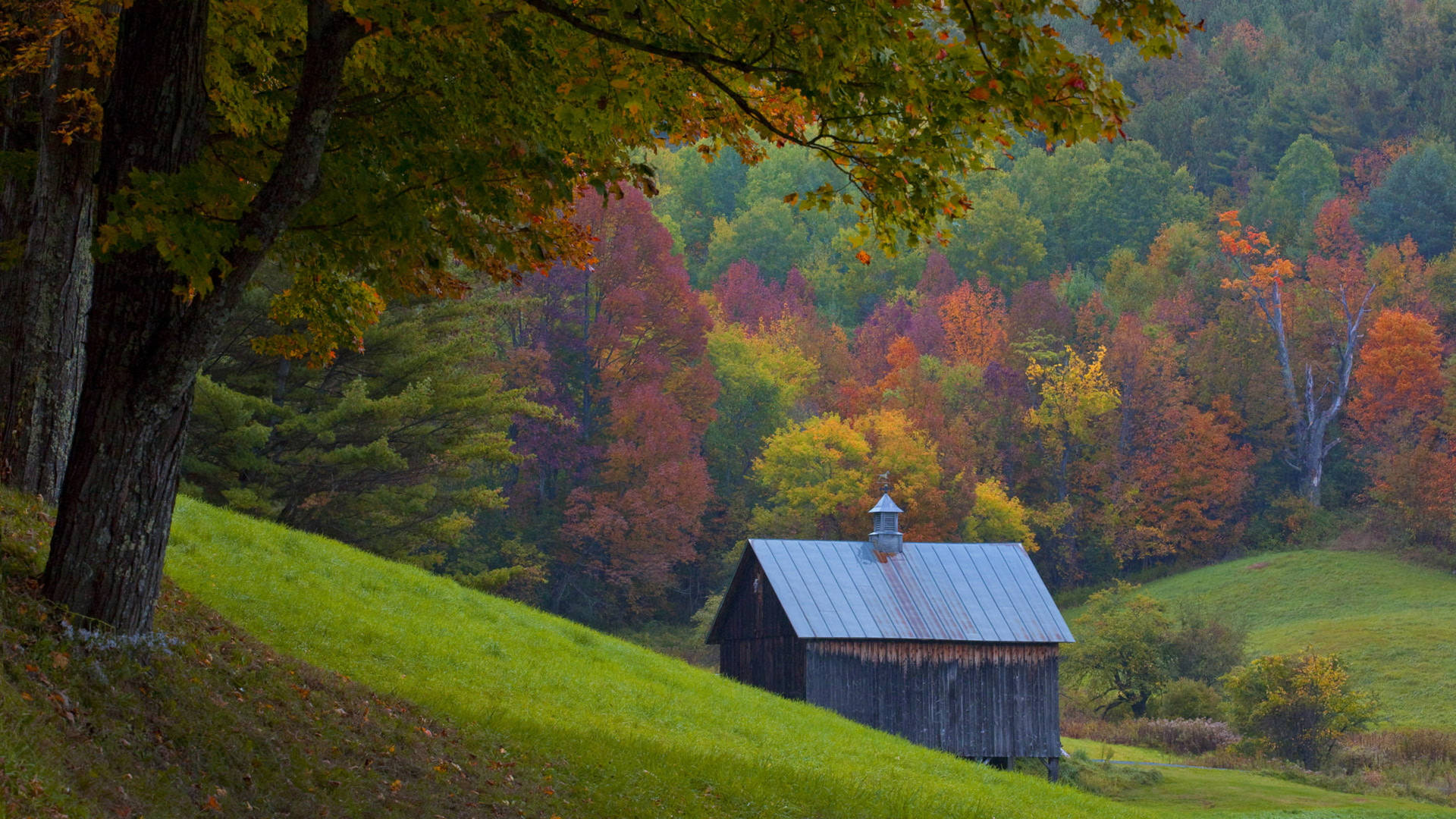 Vermont Wood House Autumn Background