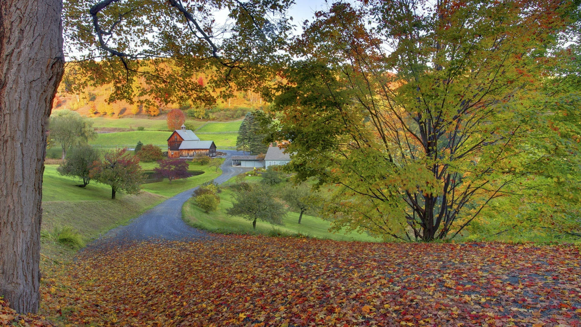 Vermont Woodstock Autumn Background