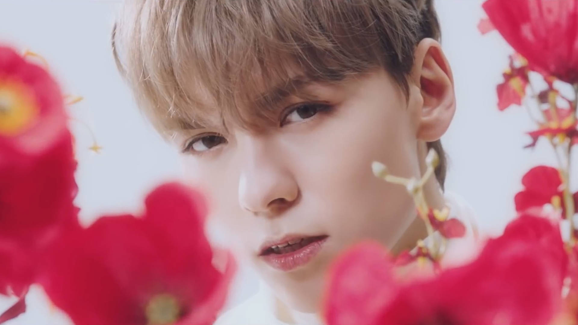 Vernon With Flowers