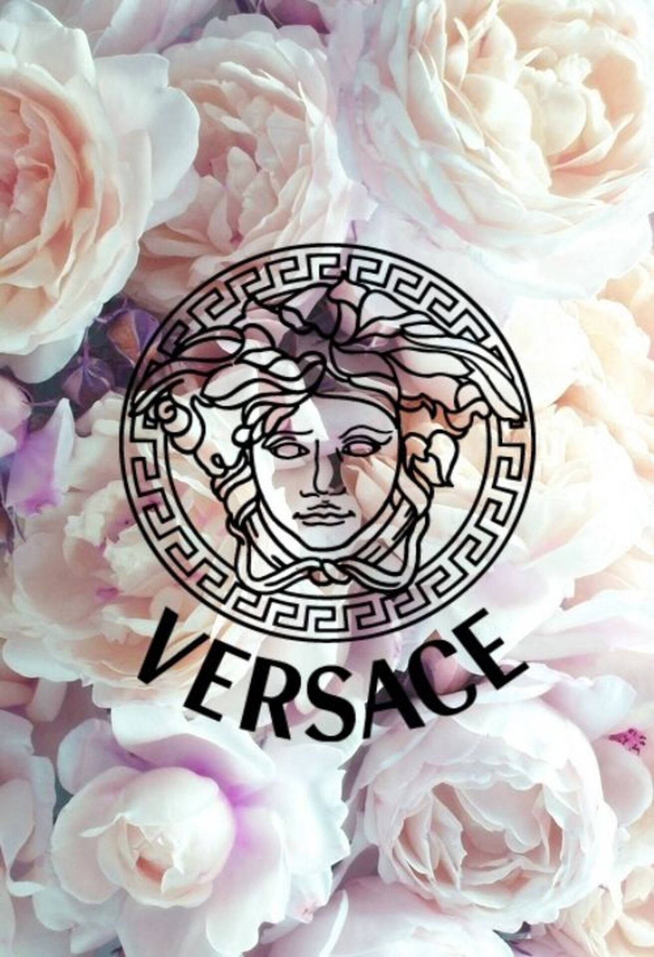 Versace's Pink Rose Look For A Fashionable Vibe Background