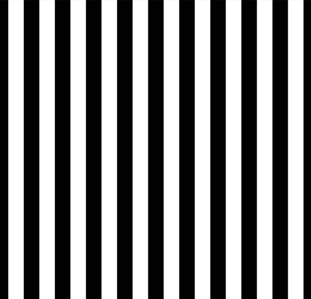 Vertical Black And White Stripes Background