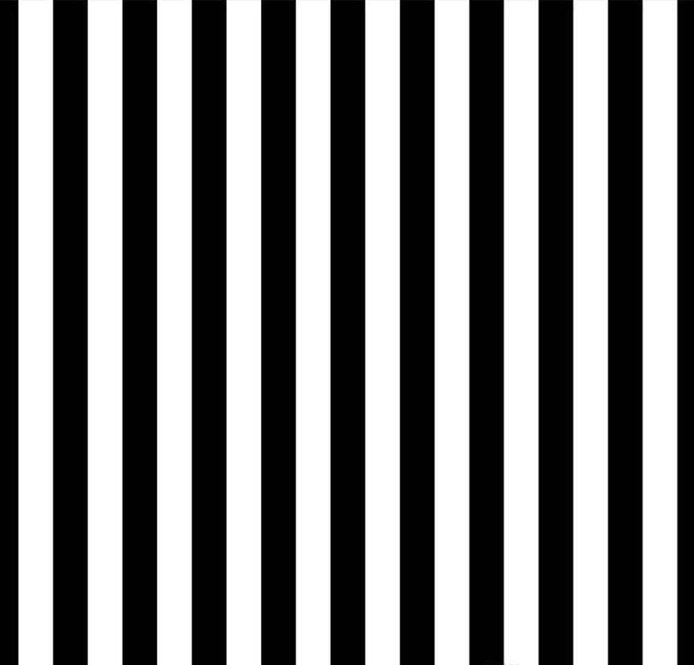 Vertical Black And White Stripes