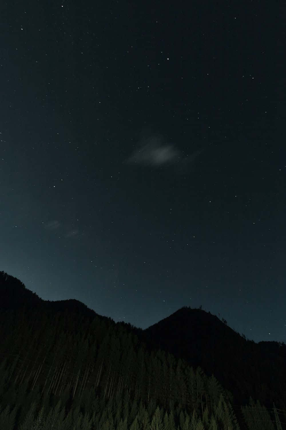 Vertical Evening Monitor Background