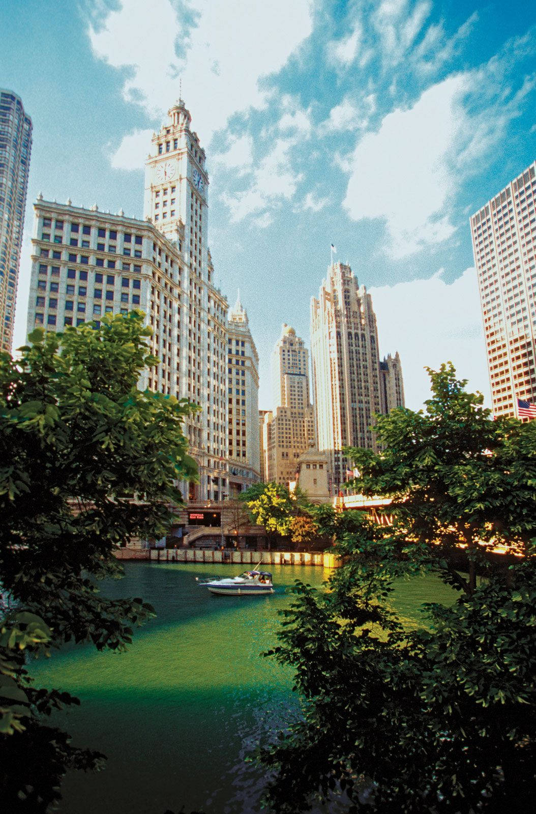 Vertical Photo Of Chicago River In Illinois