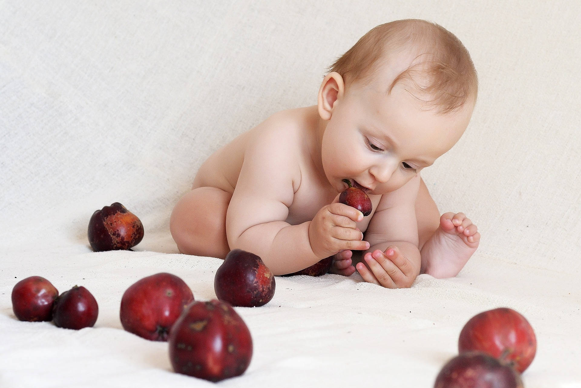 Very Cute Baby Eating Apple Background