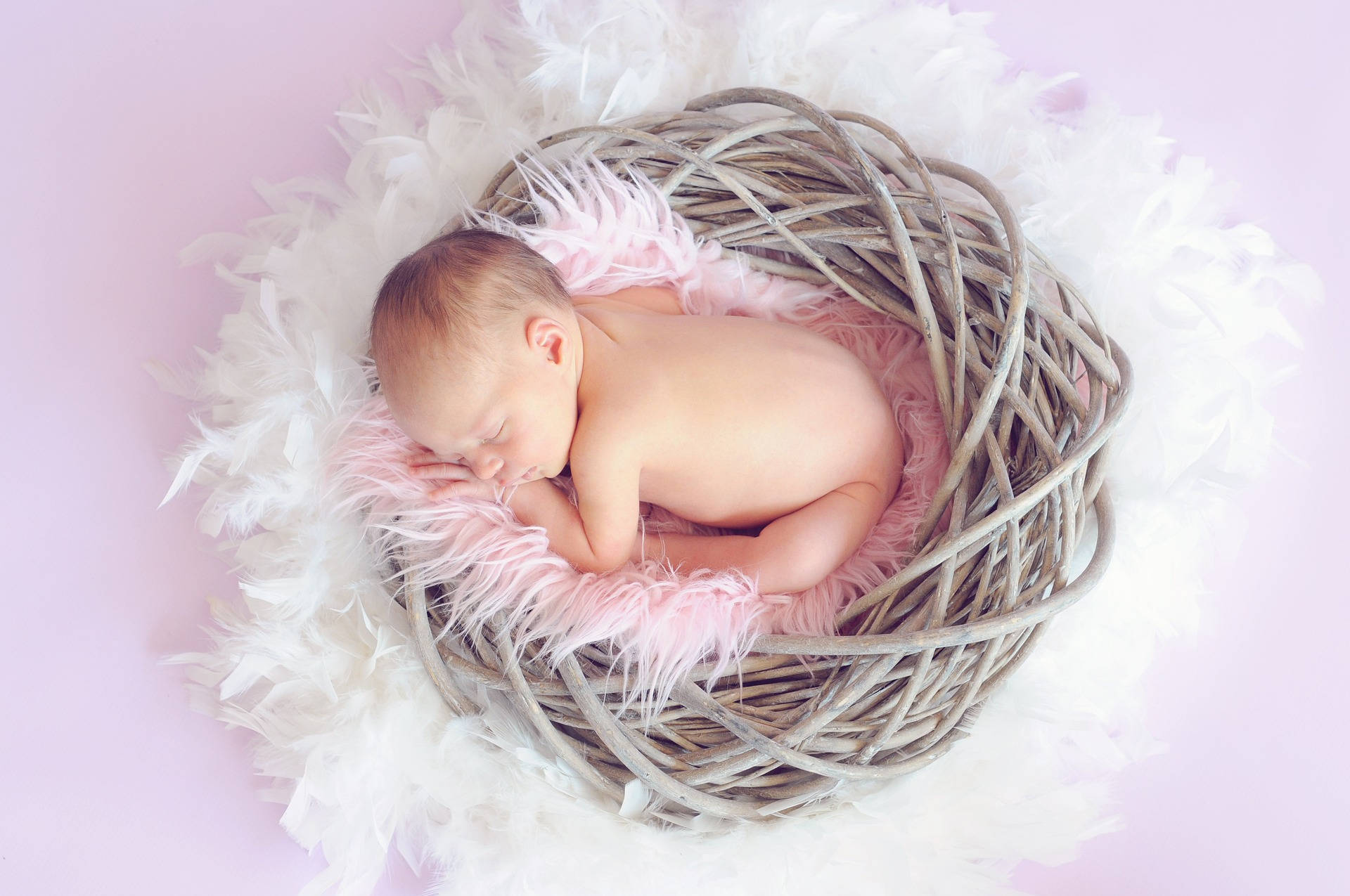 Very Cute Baby On Feathery Nest Background