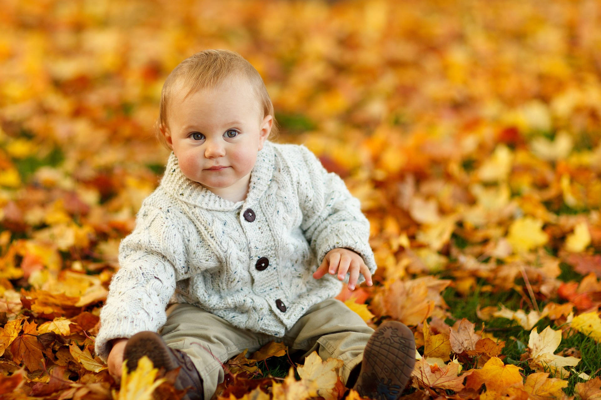Very Cute Baby With Autumn Leaves Background