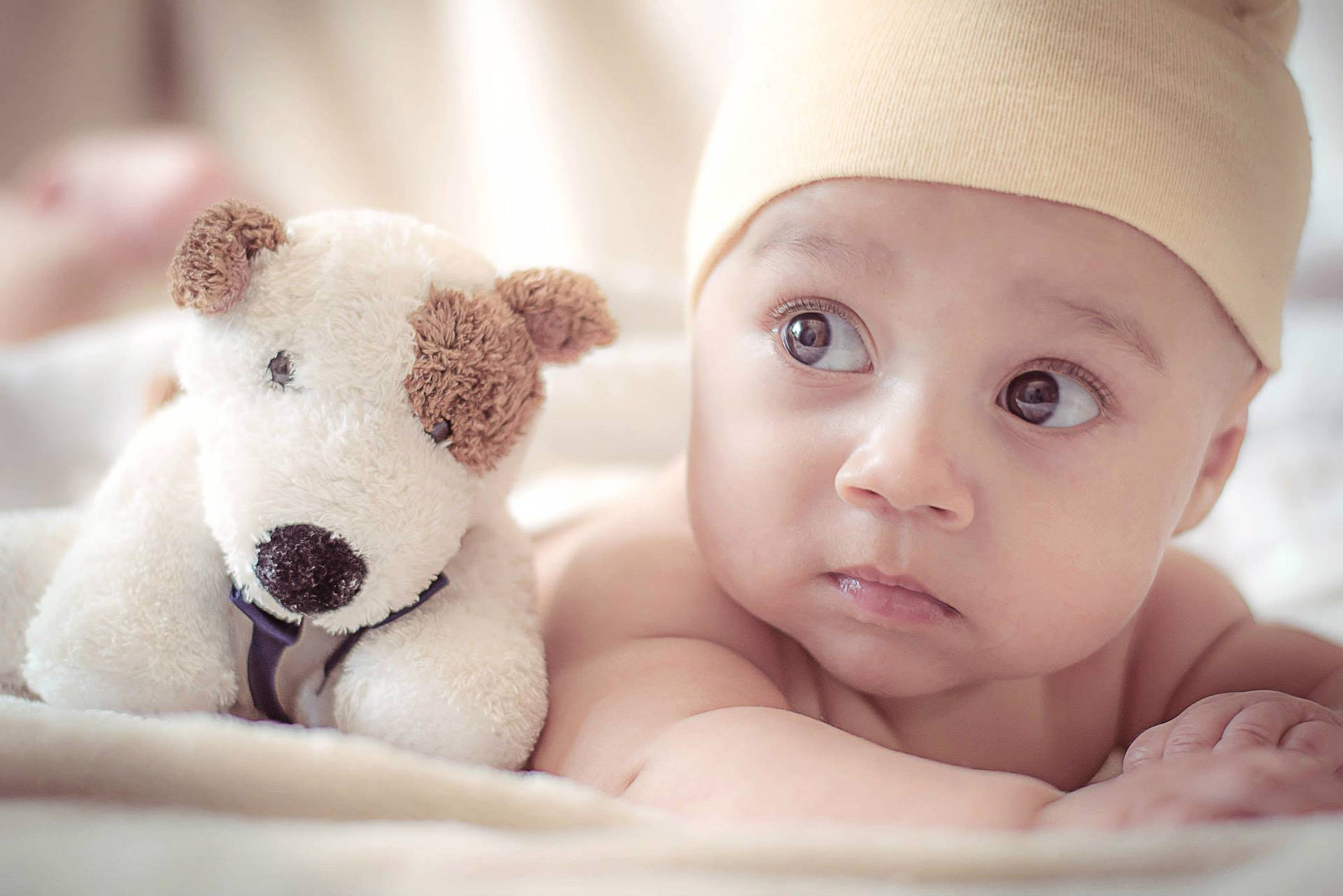 Very Cute Baby With Dog Plushie Background