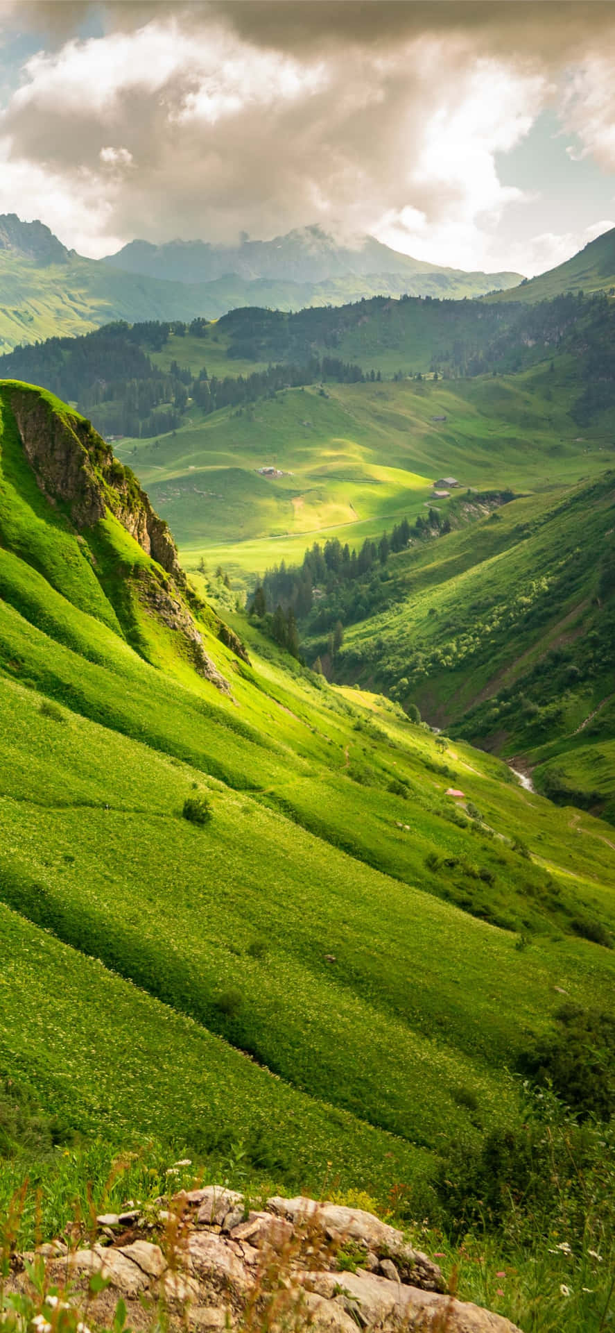 Very Wide Field Of Grass Background