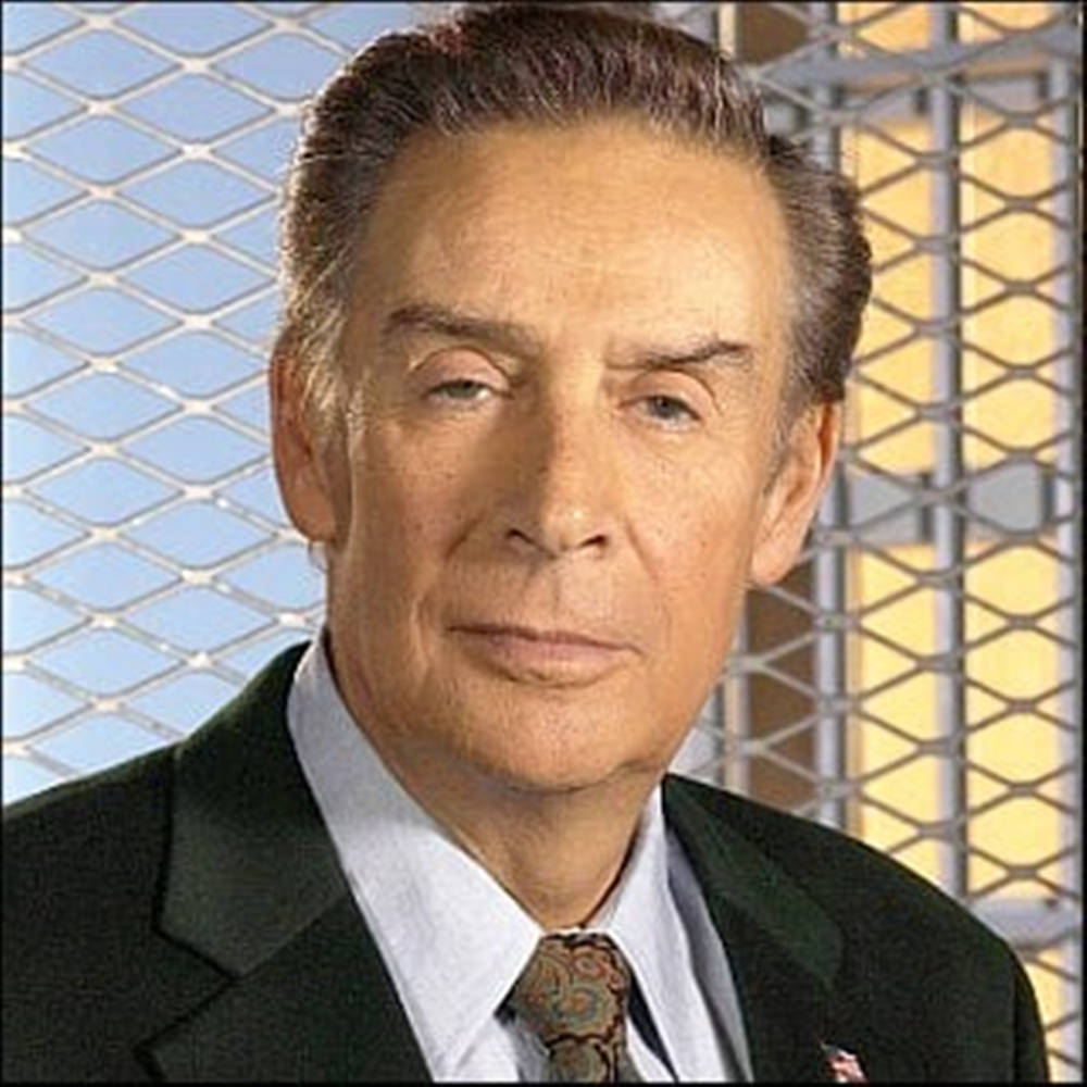 Veteran Actor Jerry Orbach Posing For A Portrait Shot.