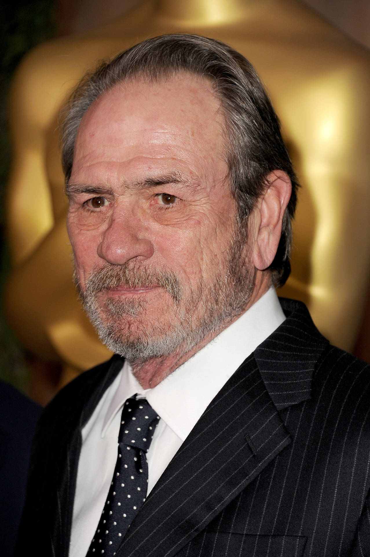 Veteran Actor Tommy Lee Jones On A Blurry Background Background