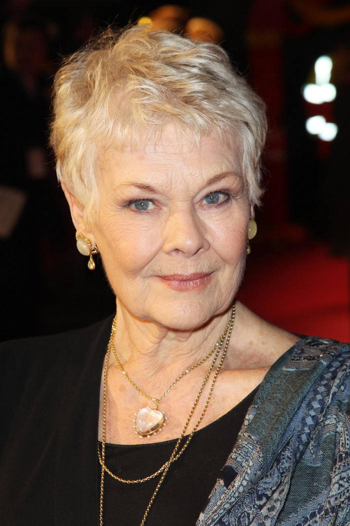 Veteran Actress Judi Dench In A Breath-stealing Pose Background