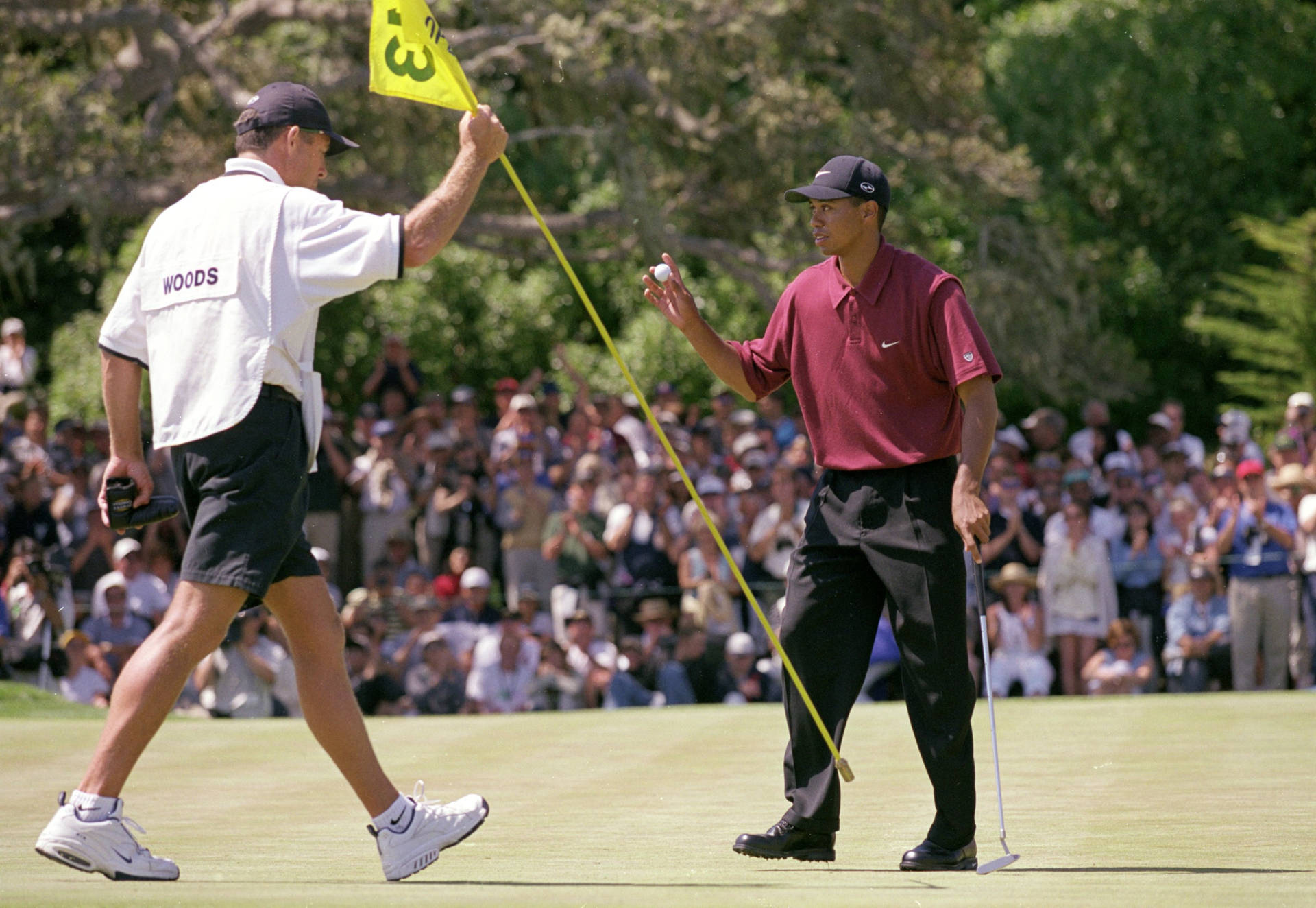 Veteran Golfer Tom Kite Background