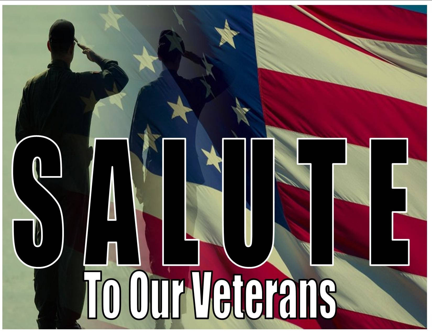 Veterans Day Big Salute Background
