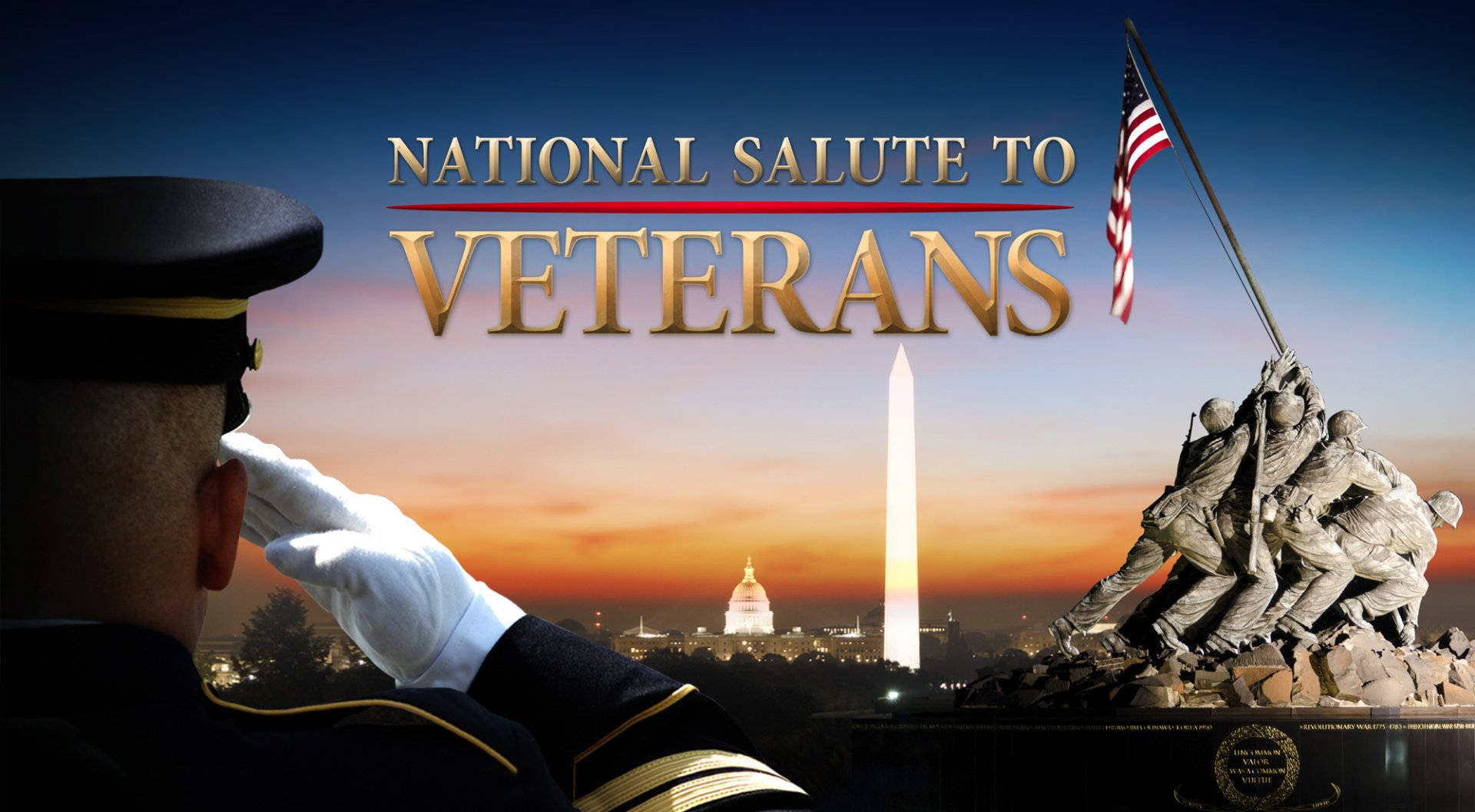 Veterans Day National Salute Background