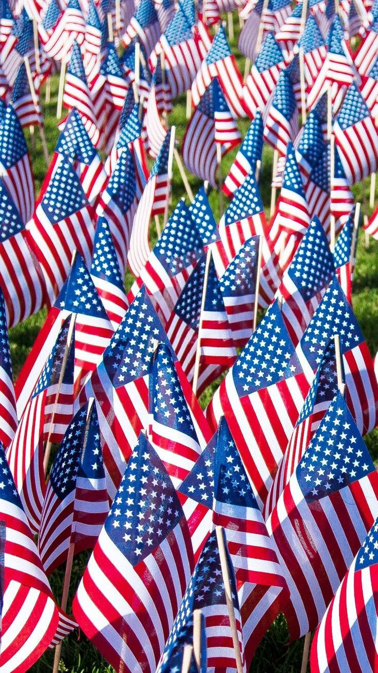 Veterans Day Small Flags Background