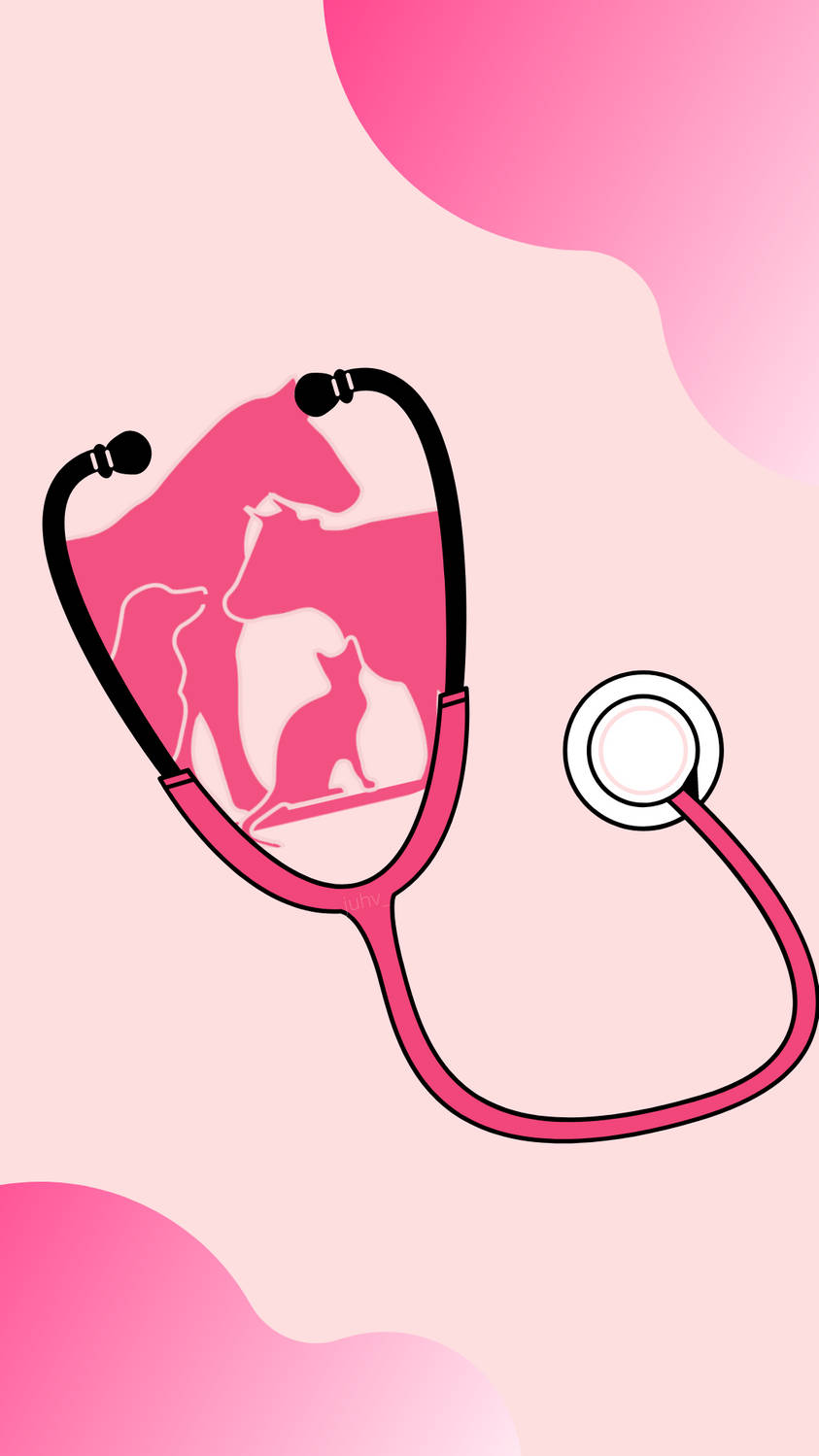 Veterinarian's Stethoscope Of Animals Background