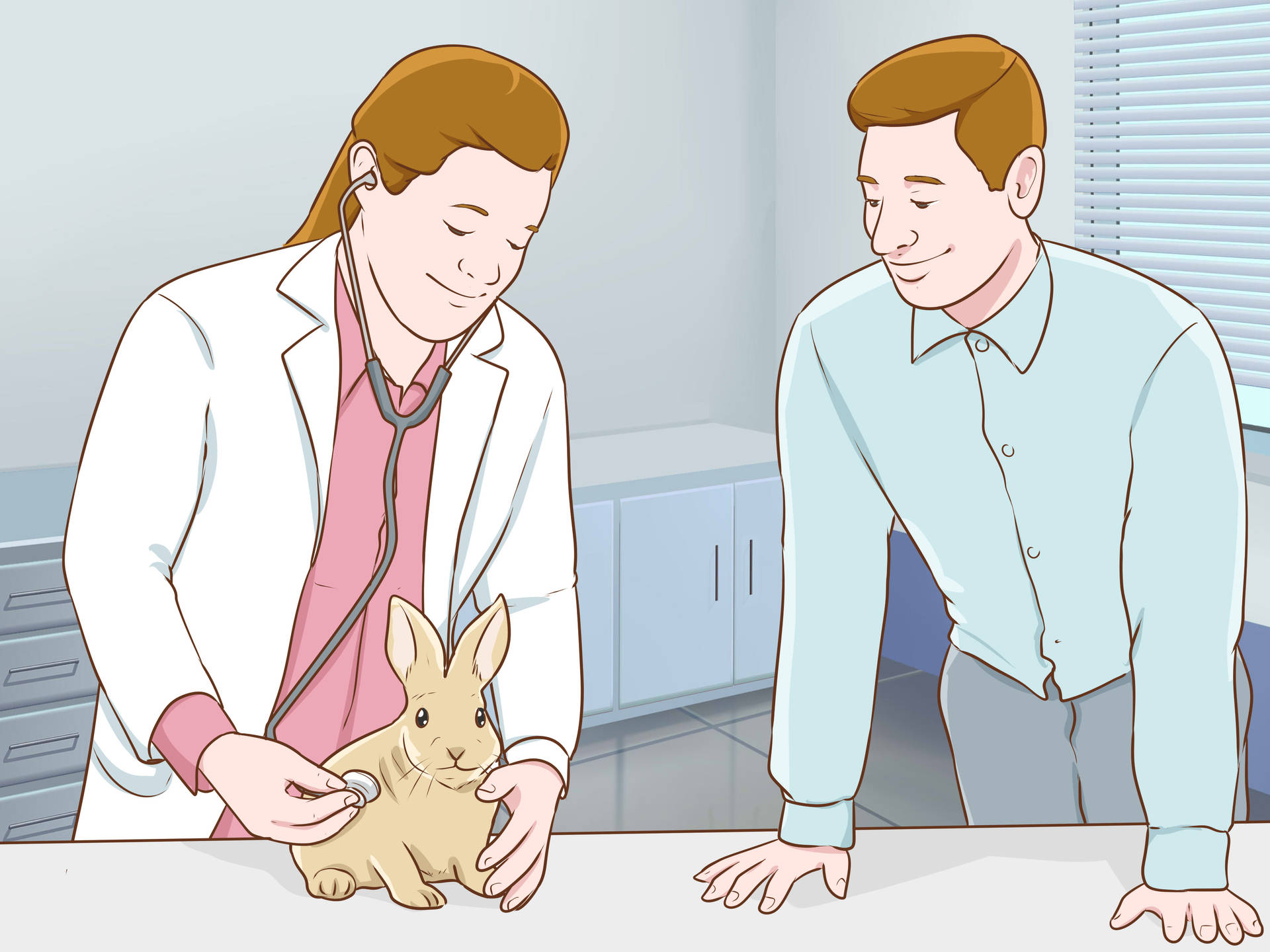 Veterinarian Treating Brown Rabbit Background