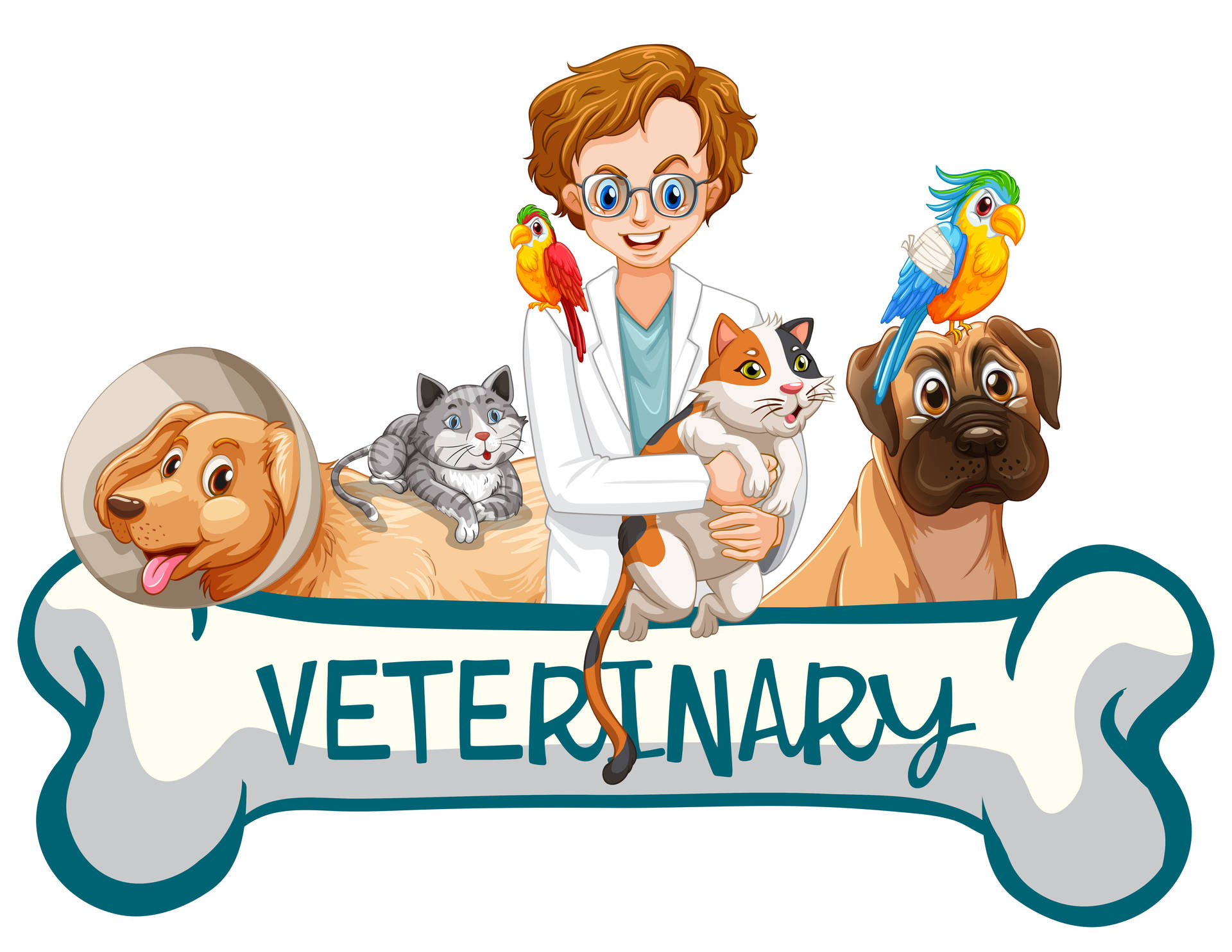 Veterinary Cartoon Graphic Art