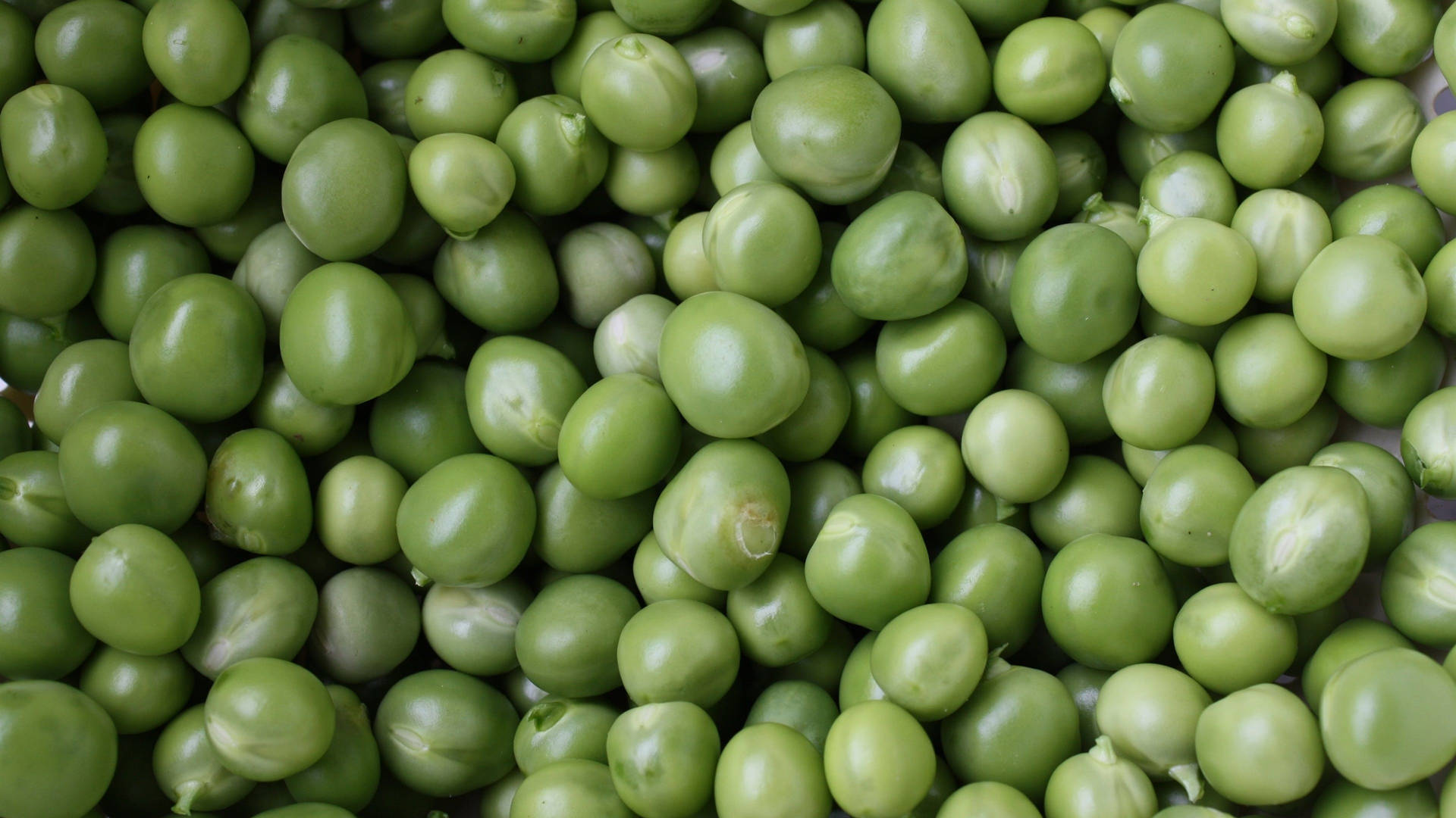 Vibrant And Fresh Green Peas Stacked In A Pile Background