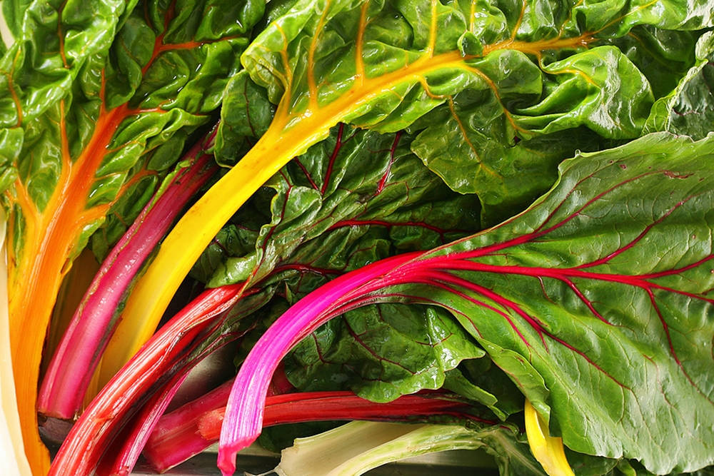 Vibrant And Fresh Swiss Chard Background