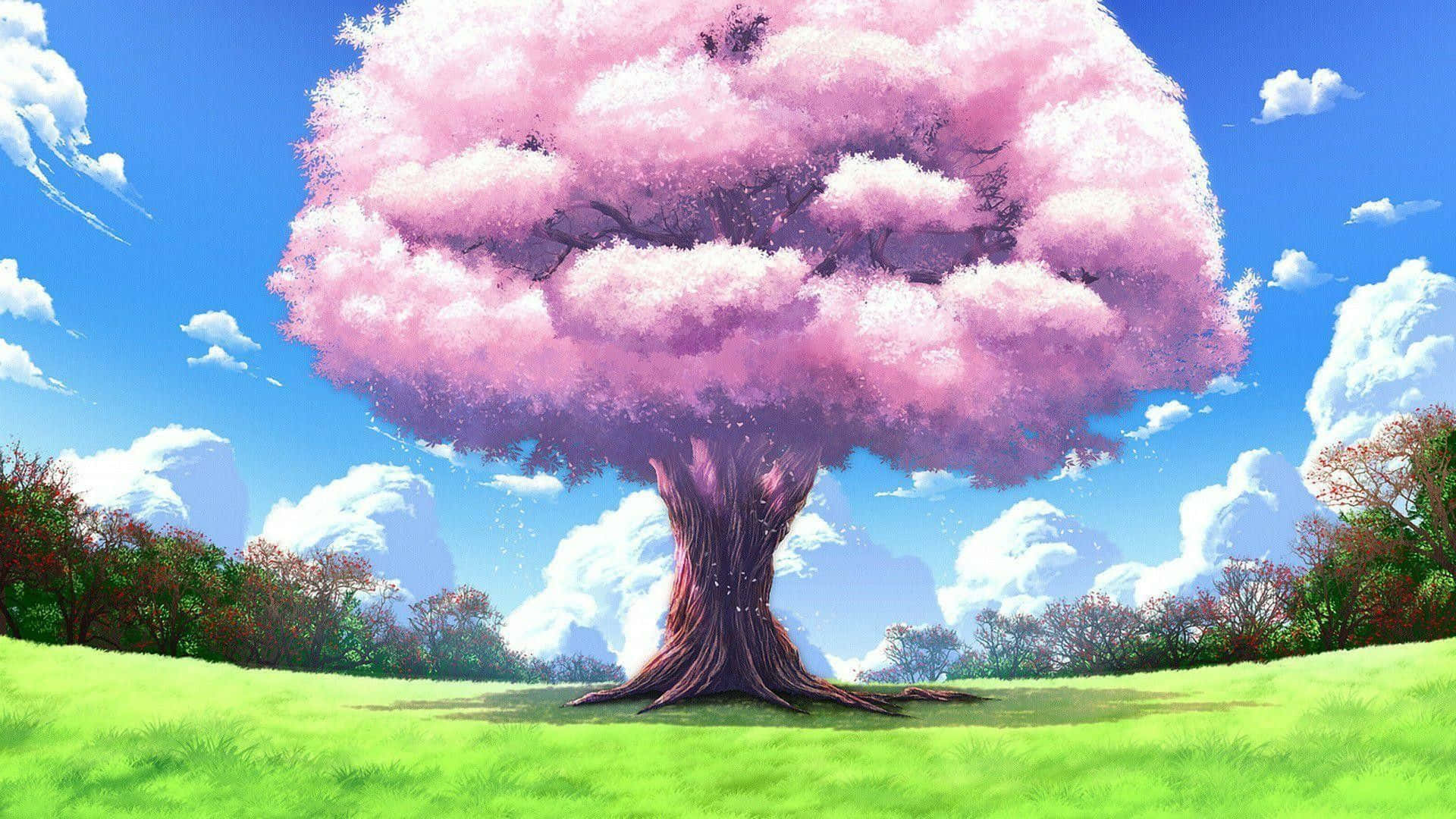 Vibrant Anime Cherry Blossom Tree Background