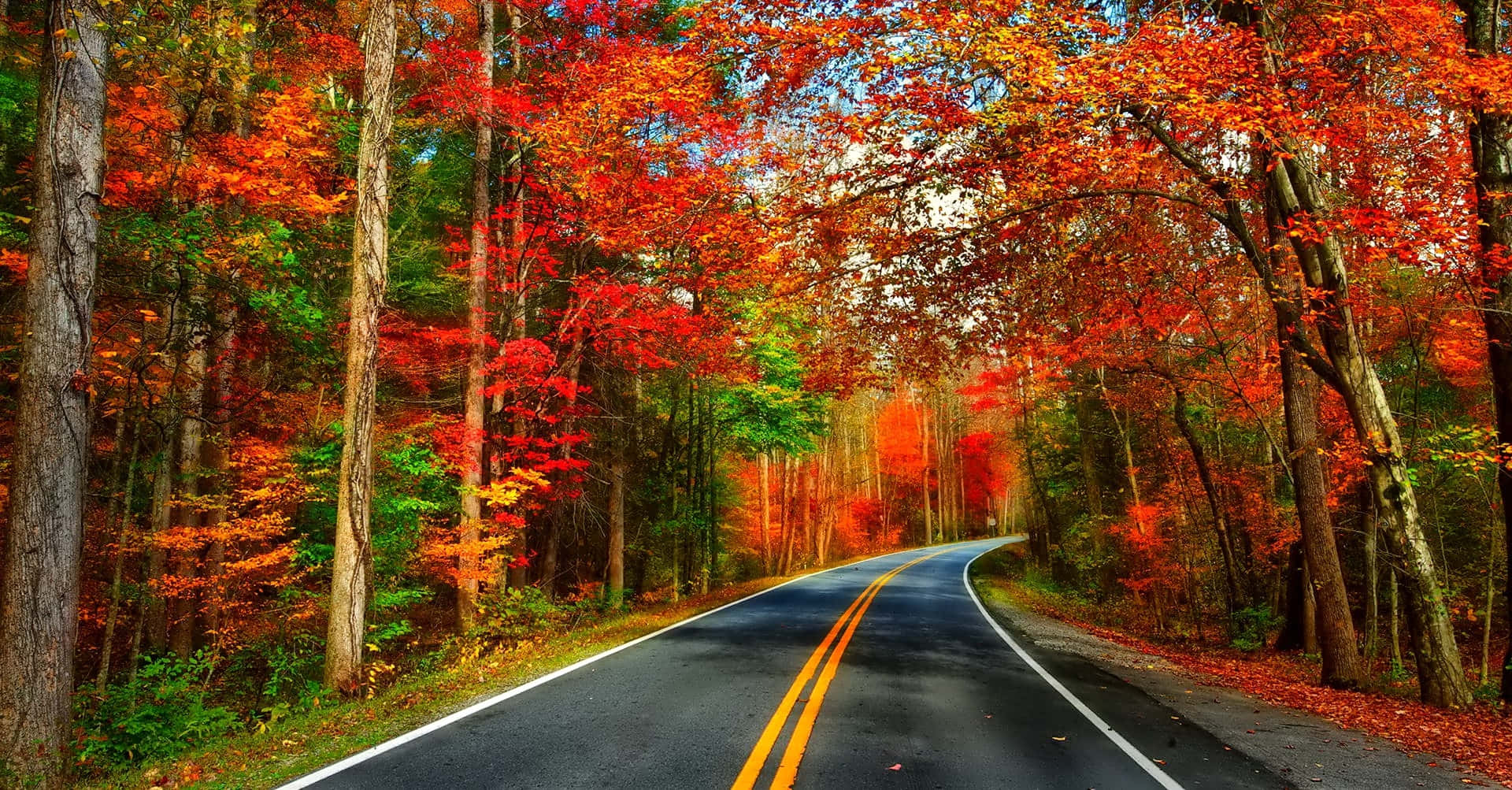 Vibrant Autumn Roadscape Background