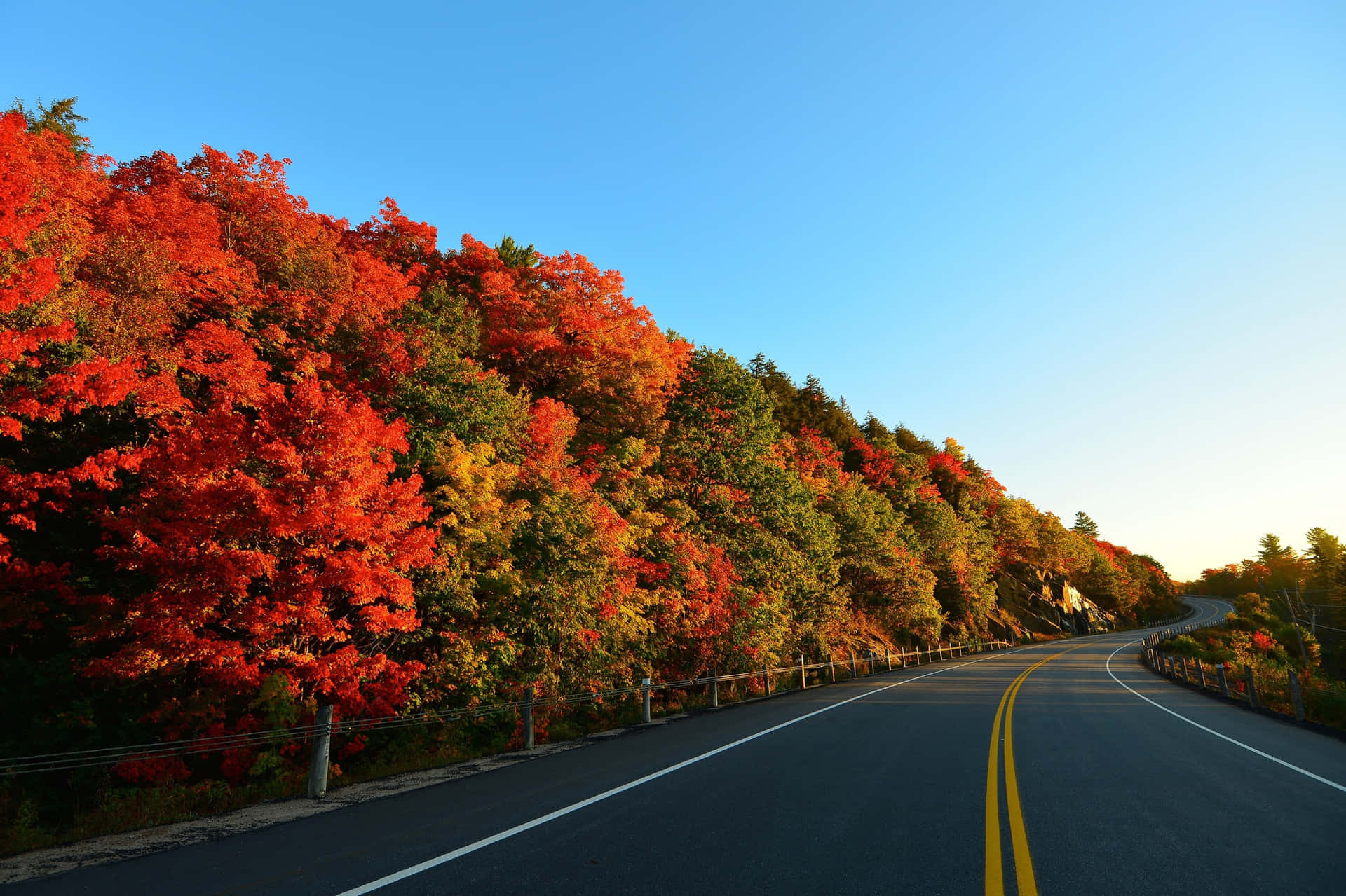 Vibrant Autumn Roadscape Background