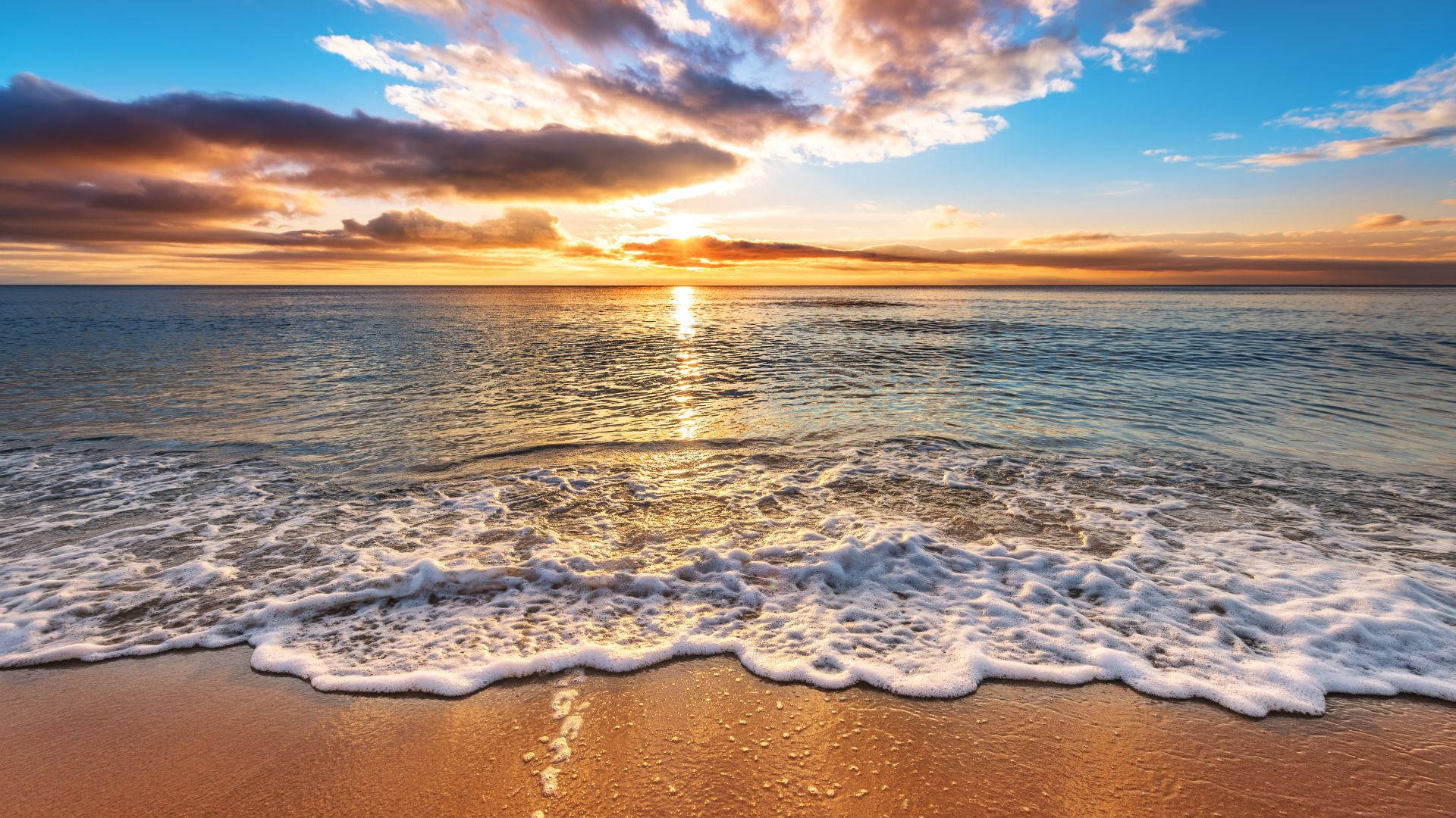 Vibrant Beach Sunrise Landscape Background